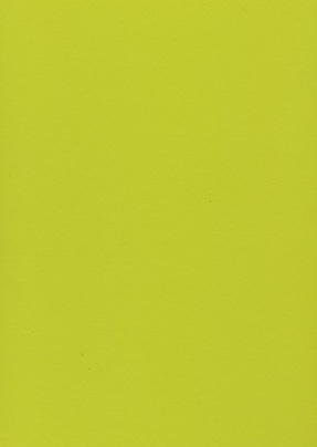 9209