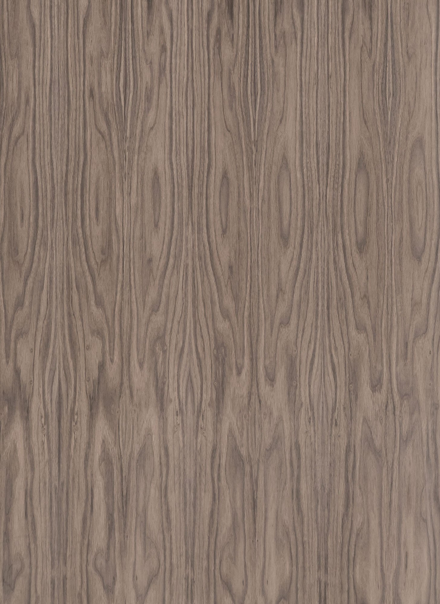 American-Walnut